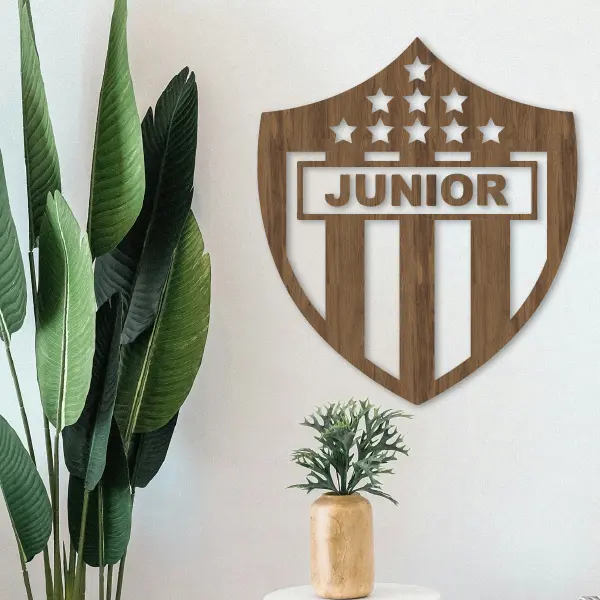 Escudo atletico Junior - Image 3
